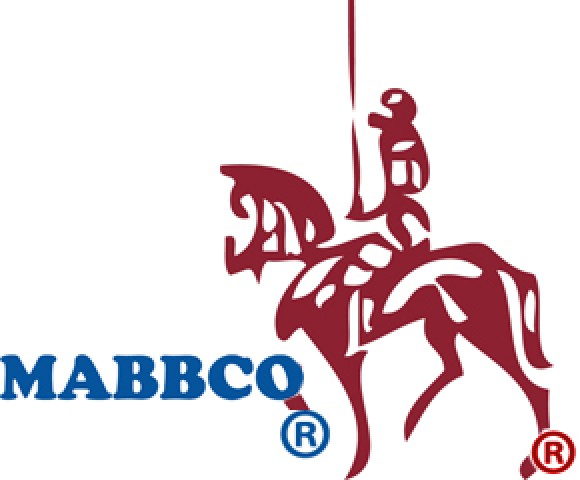 Ford 3.8 232 Cylinder Head 1999-2004 - NO CORE REQUIRED